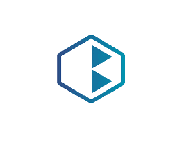 BVK logo